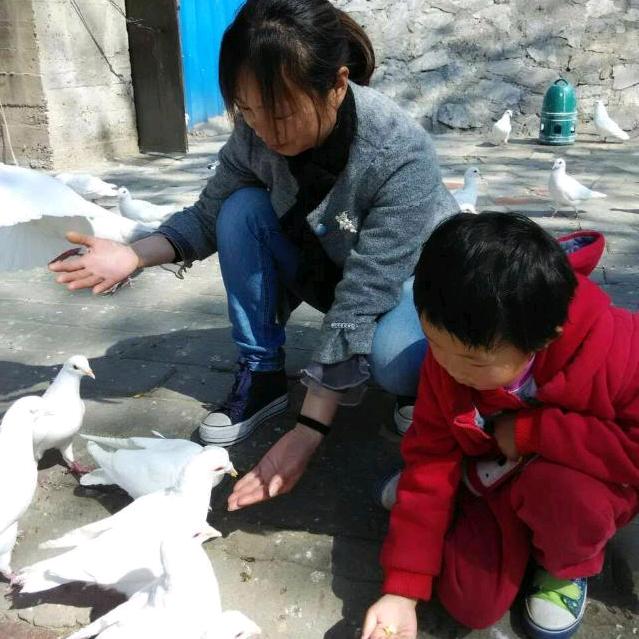 豫见美好