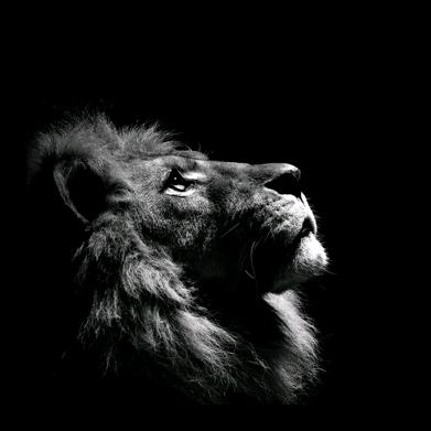 春雷滚滚好怕怕