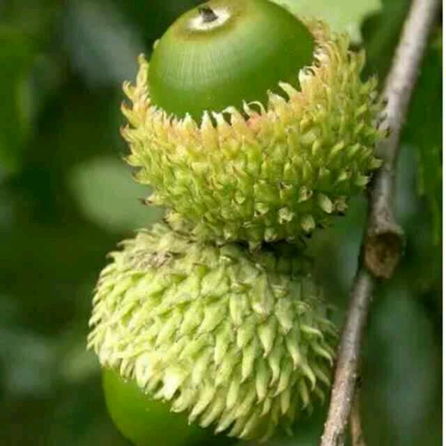 蓝天