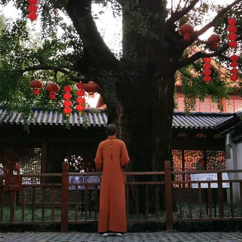 释隆臻。。