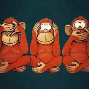 use强哥r8635726500898