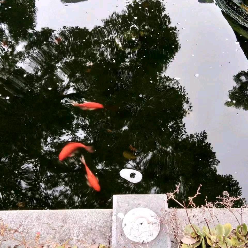 迎难而上