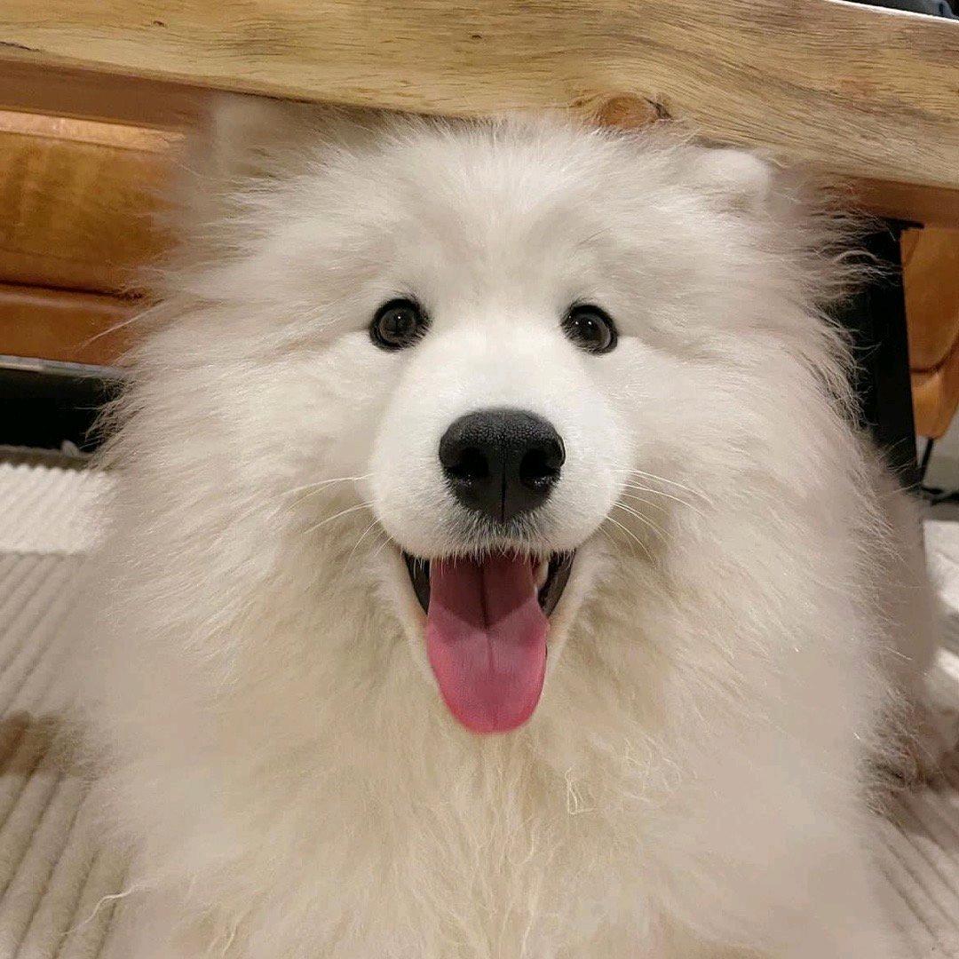 香蕉酸奶好不好吃