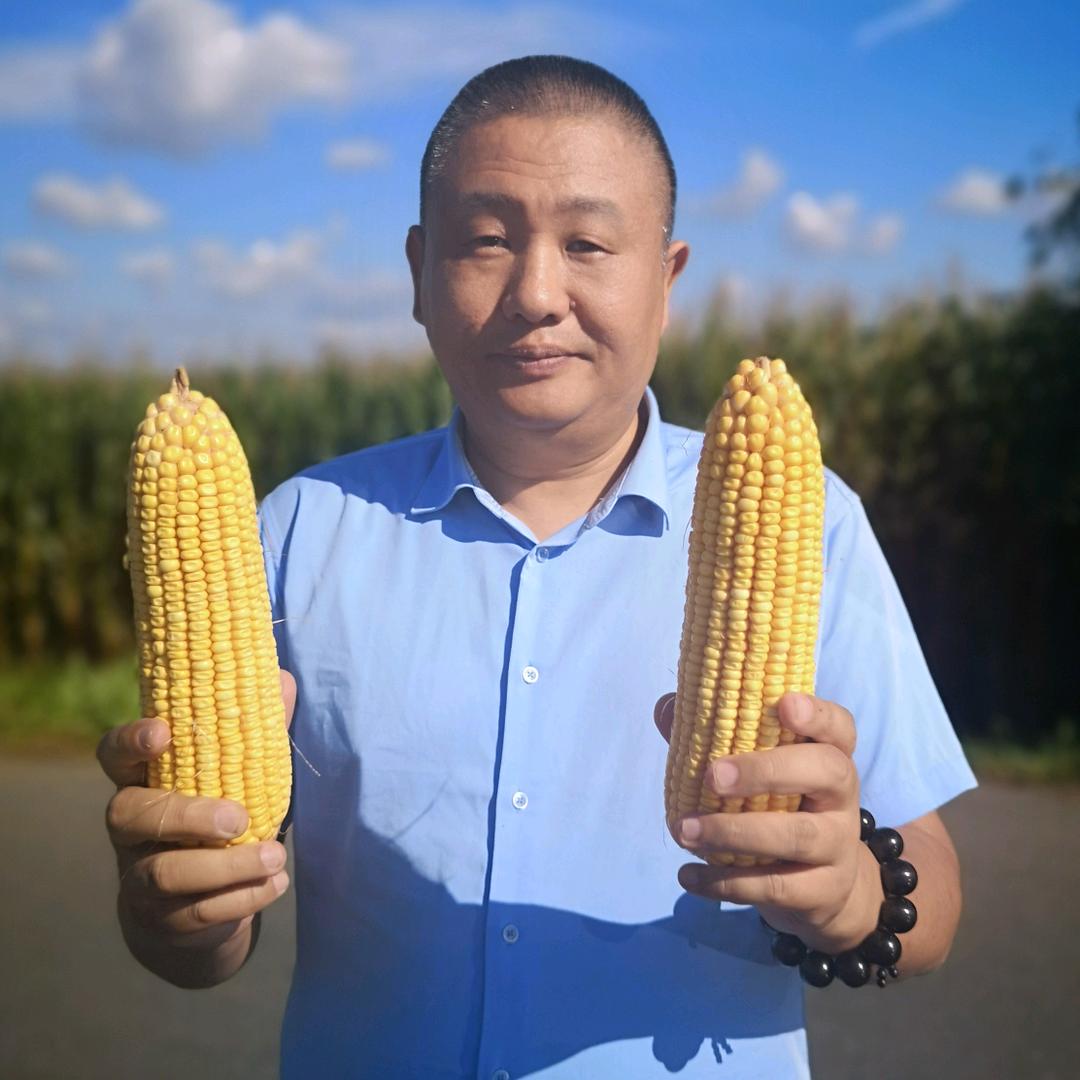 威海宋支书（玉米哥）