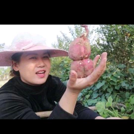 香浓家味