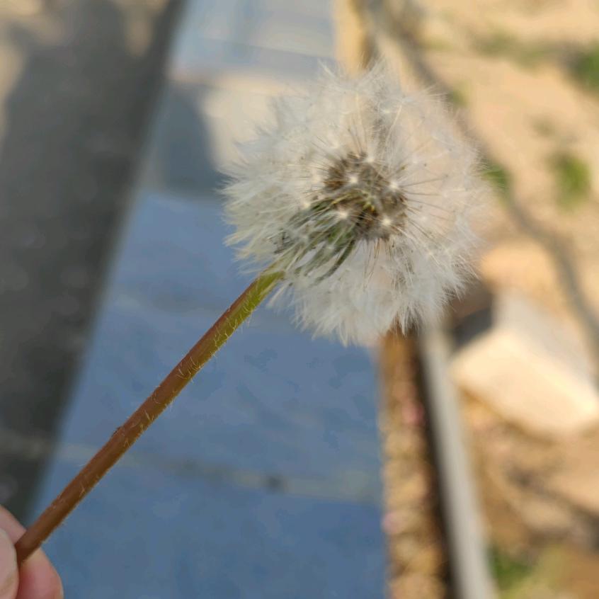 木木木