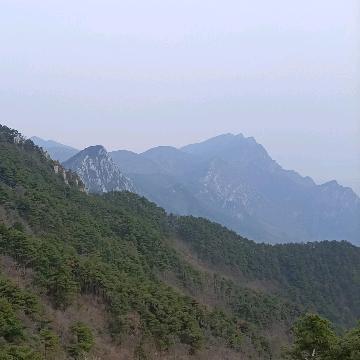 勤能补拙