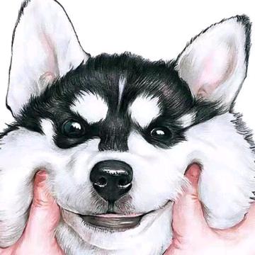 狗子开超市🐶（互助）