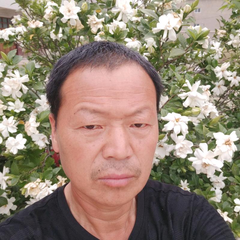 郑大厨