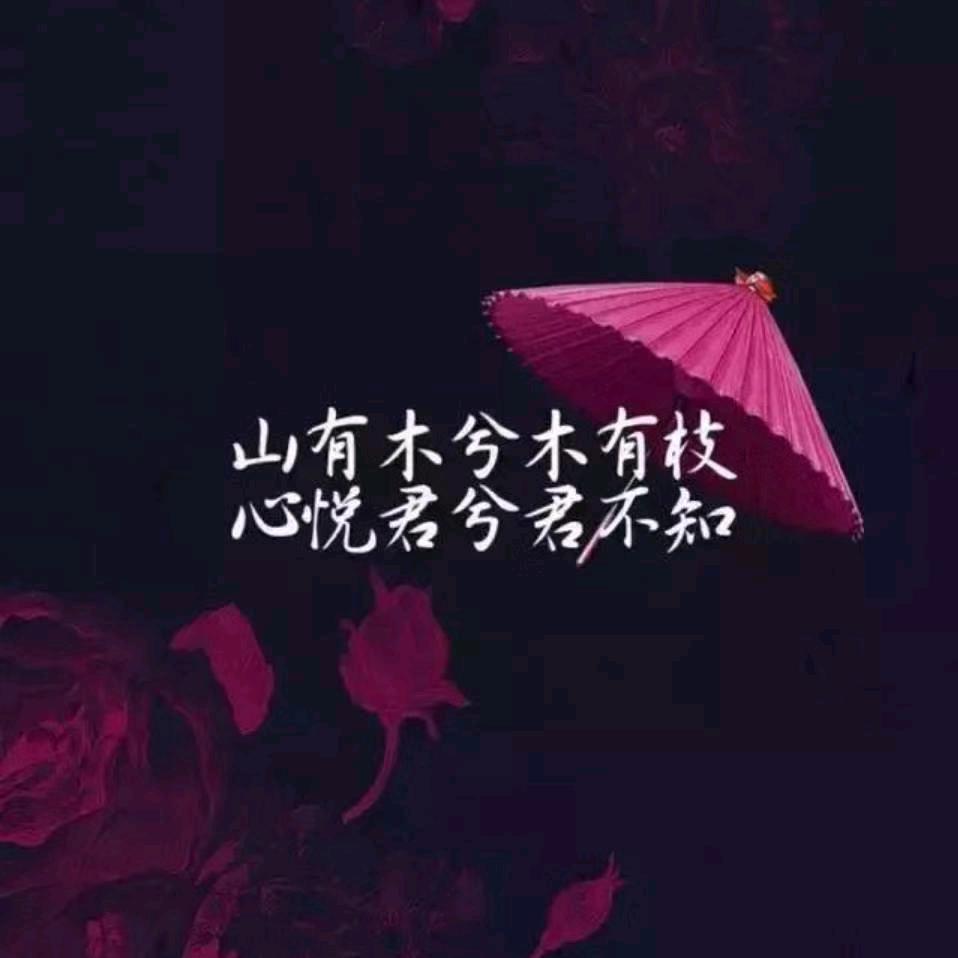 🐍郎心似铁