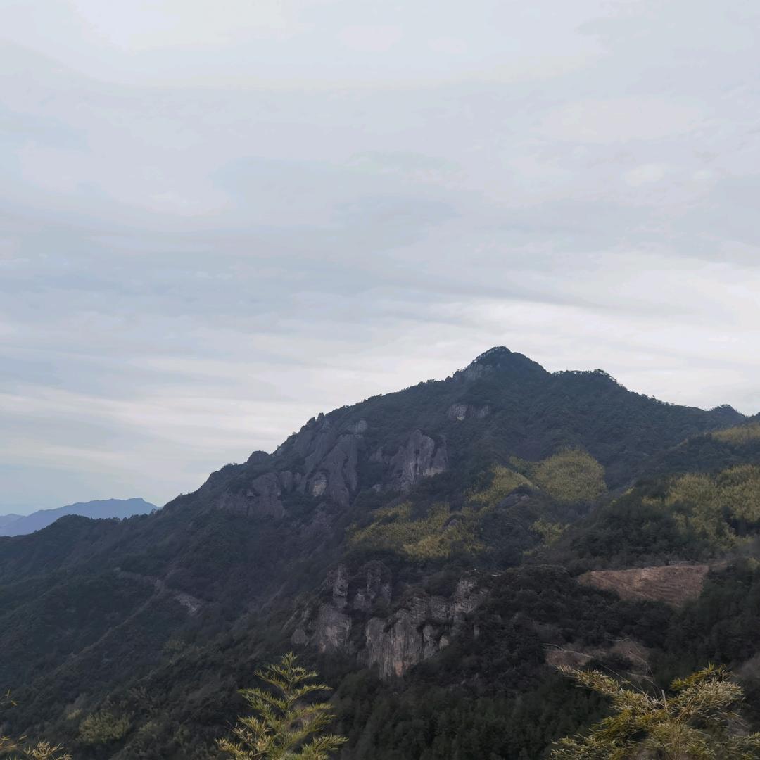 雄鹰99