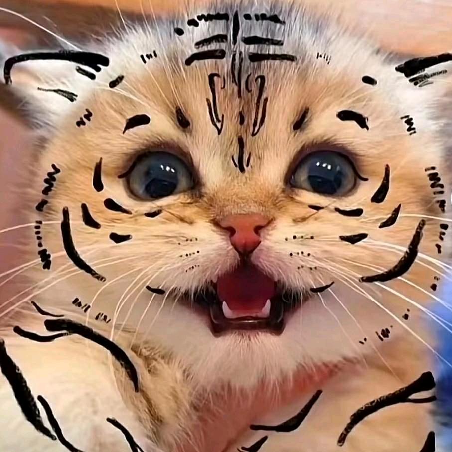 🌈我想胖10斤🇨🇳