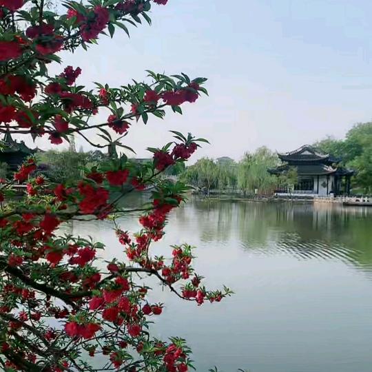 ：ℋღ᭄艳🍒᭄💞࿐