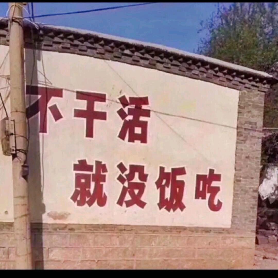 寒雪