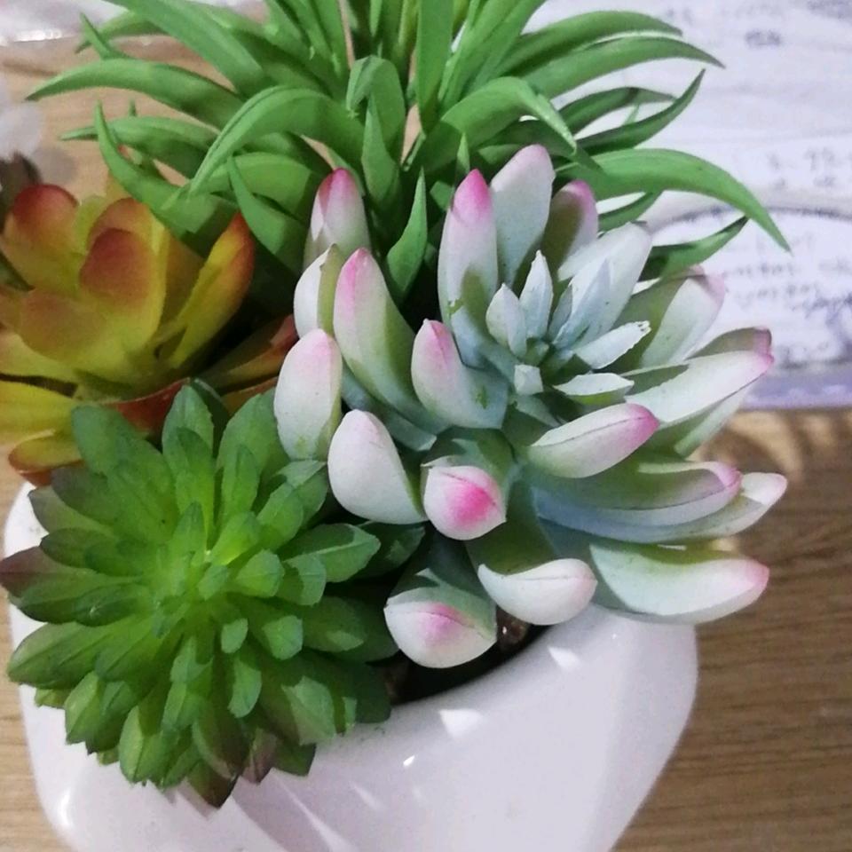 老胡
