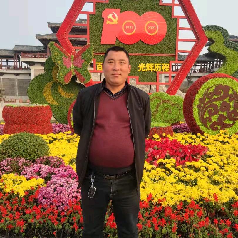 长年收小麦玉米