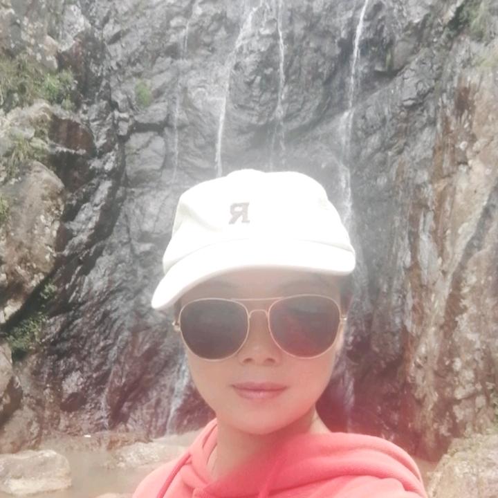 仙人掌