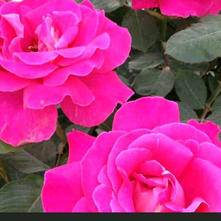 海洋水建心想事成