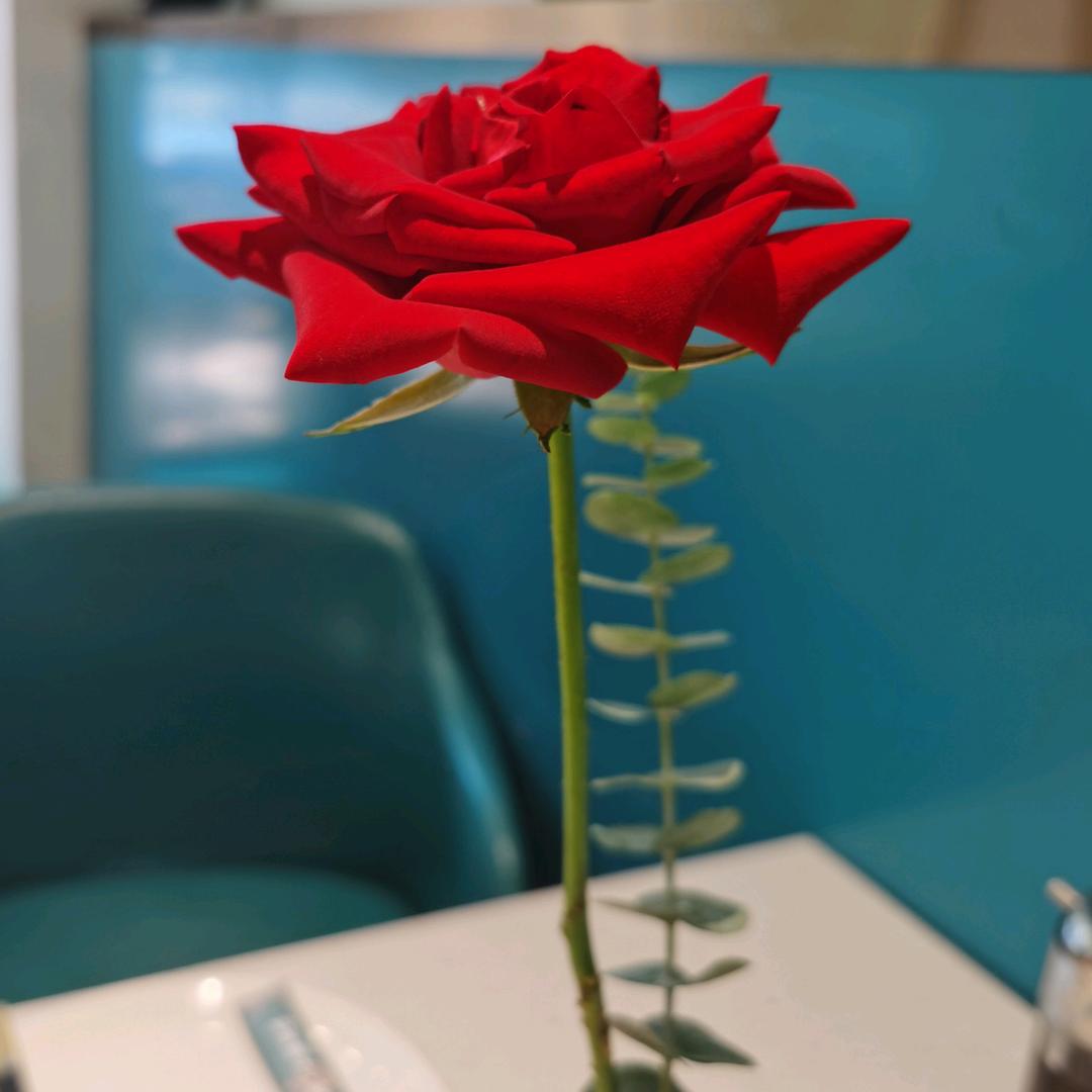 开心就好💋💋💋