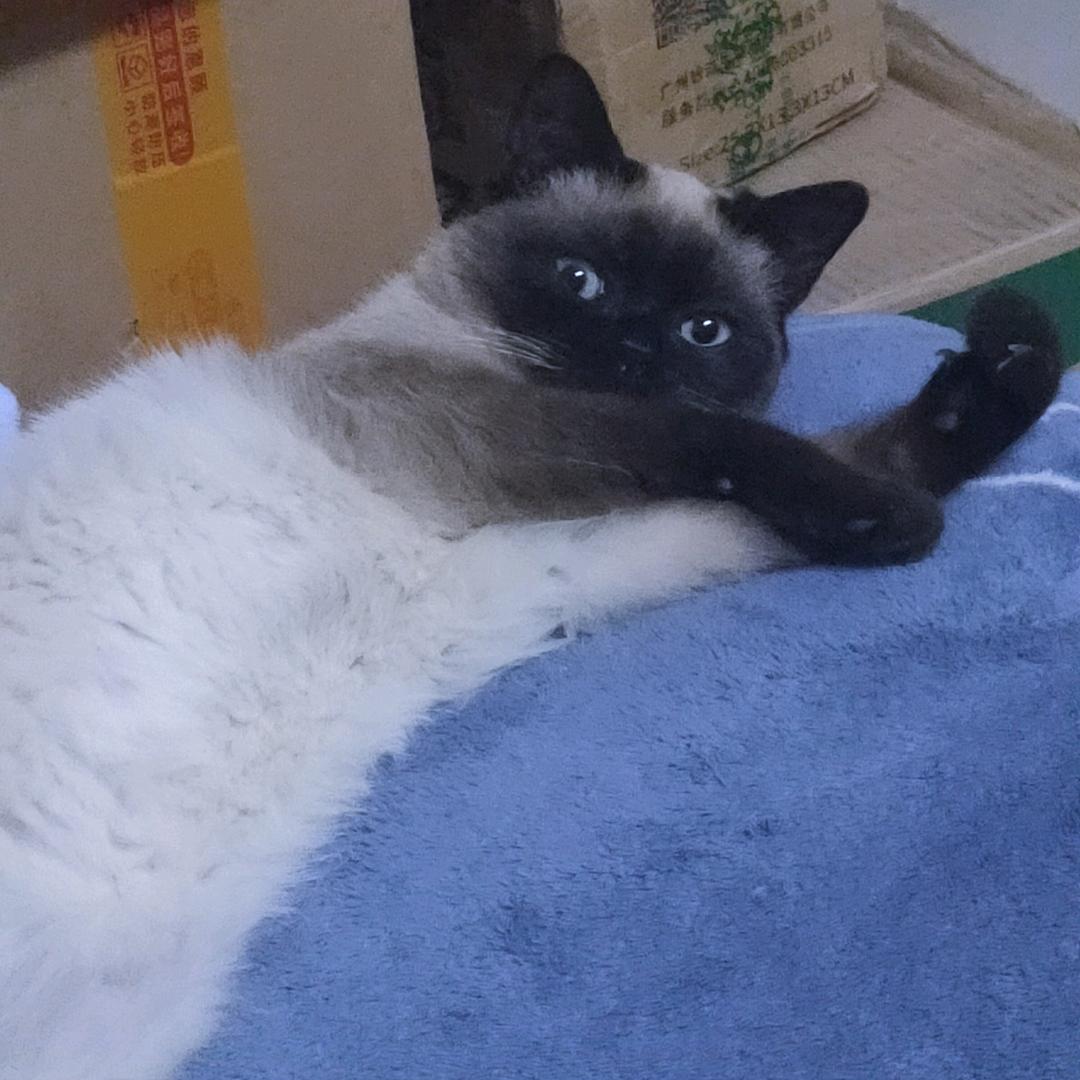 他来咯咯咯路
