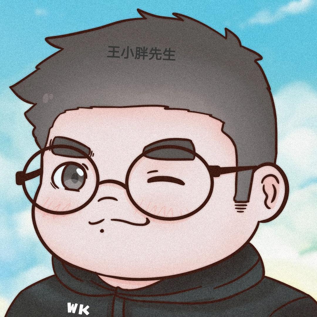 王小胖先生