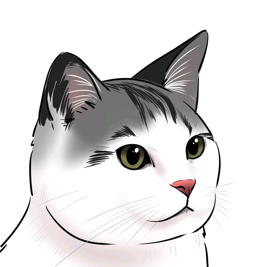 暗光