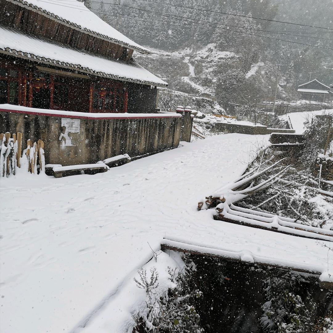 ˙❥˙小粟ᶫᵒᵛᵉᵧₒᵤ 💕