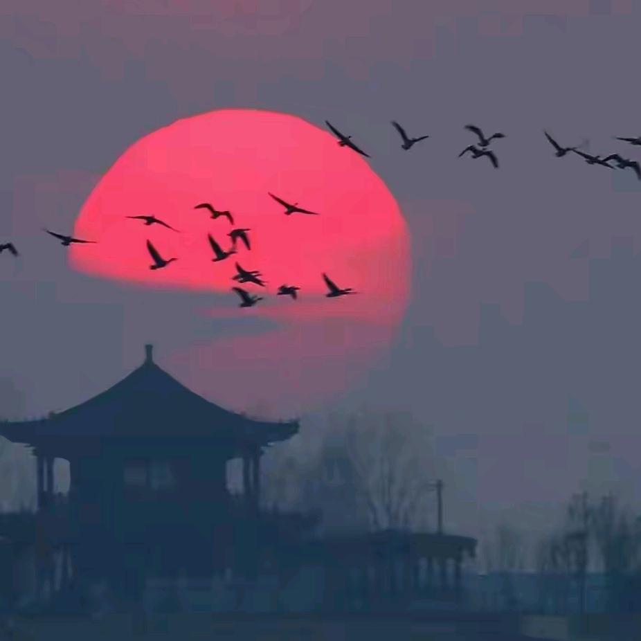 李诗情画意