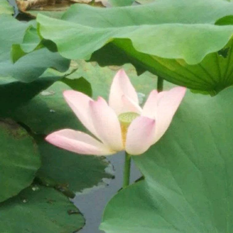 七彩阳光