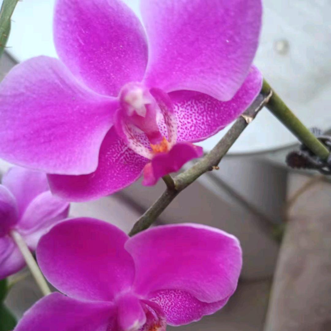 昌乐店全福元二楼CC服饰