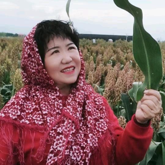 梅子，谢谢点赞朋友