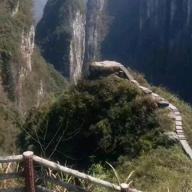 夏之沫头像