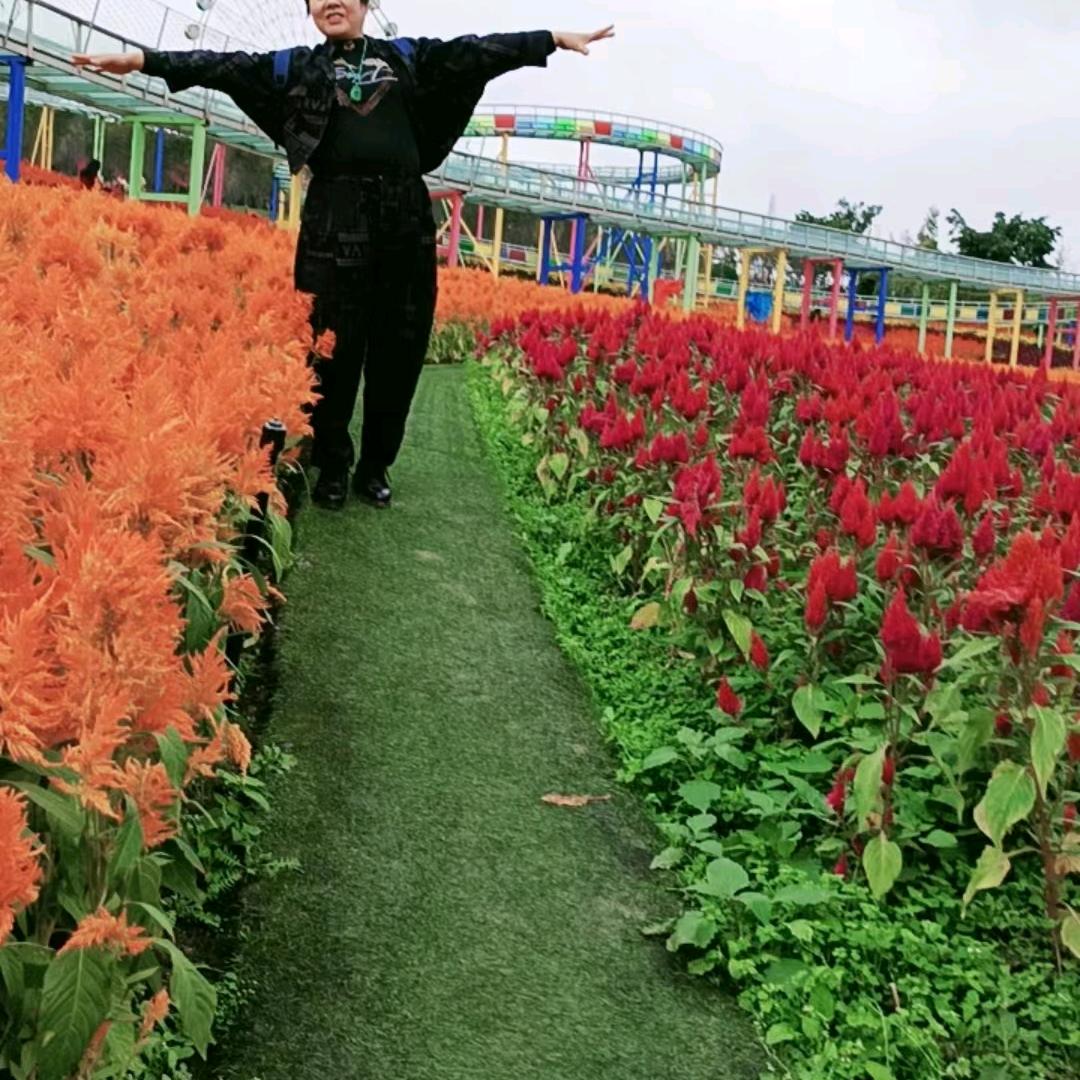 傻有傻福