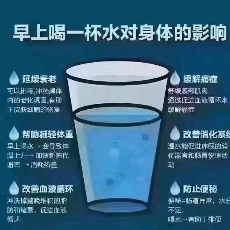 🌺亿訫向钱