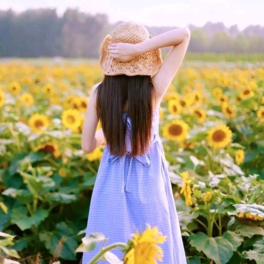 向日葵☀