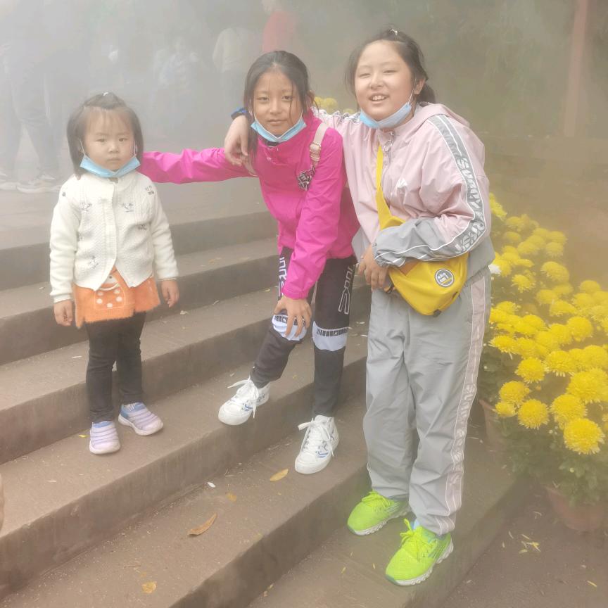 排行老二小姐