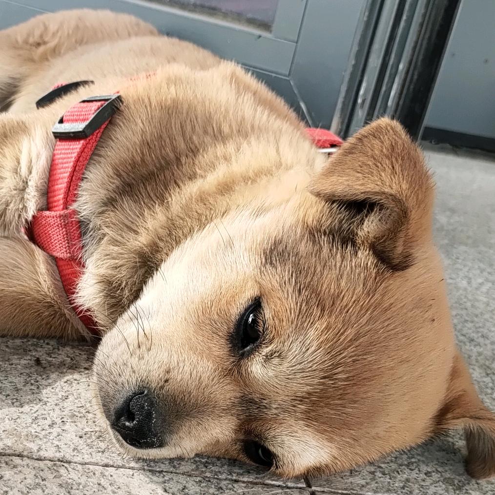 到处瞧瞧头像