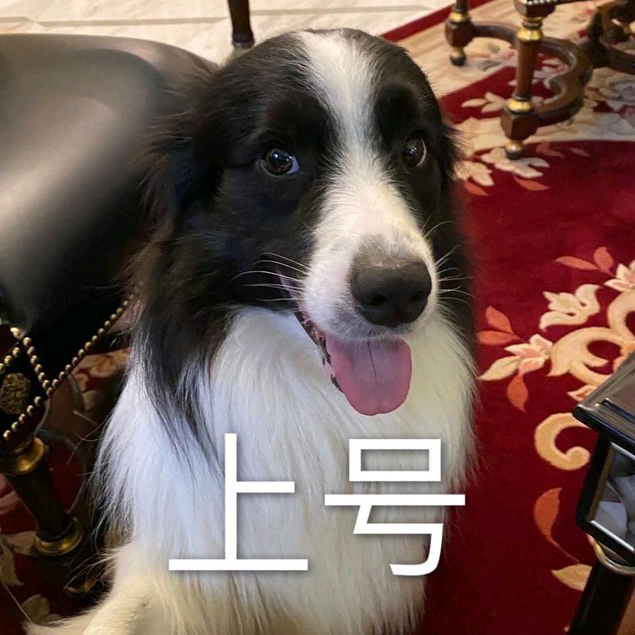 吉米怎么办