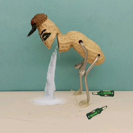 何意见的花生仔