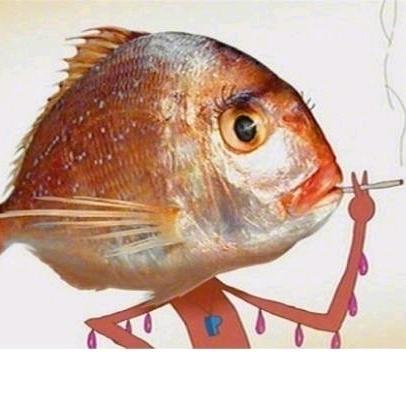 菊花大人头像