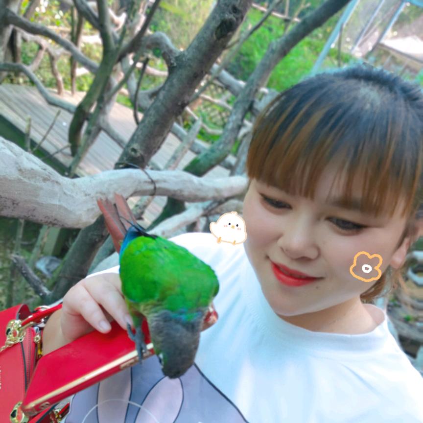 🐹¹⁹₉₆滕℘࿐