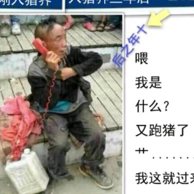 长寿，黑仔，老邹