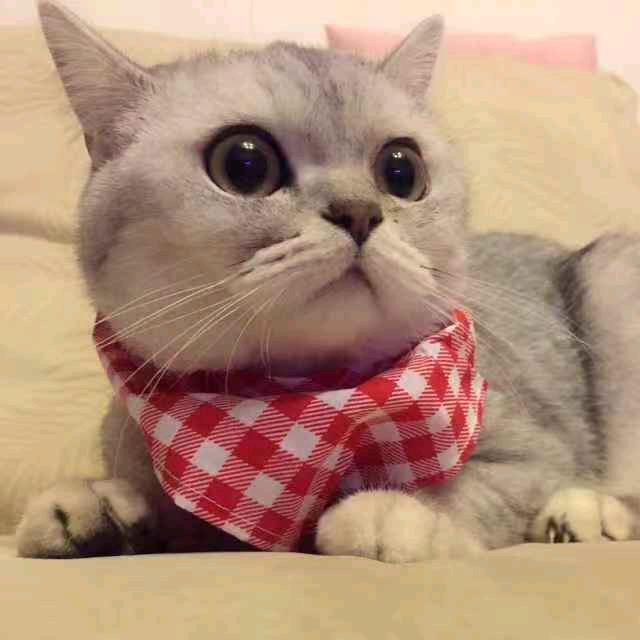 娜娜