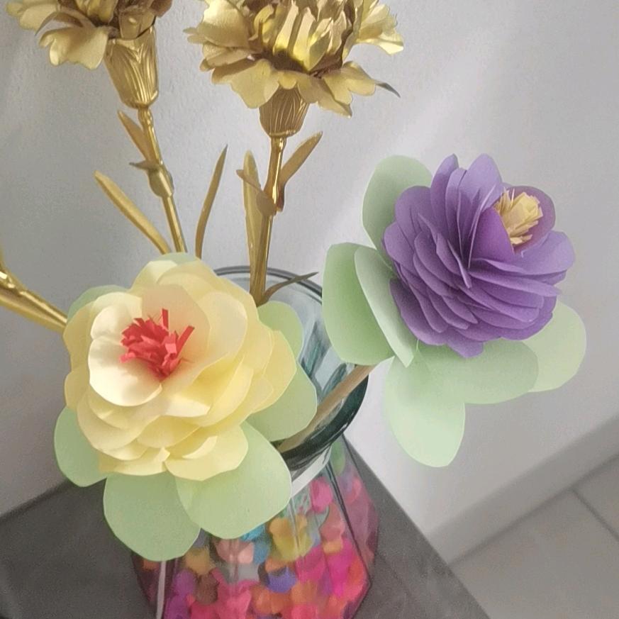 家具城二期德高防水