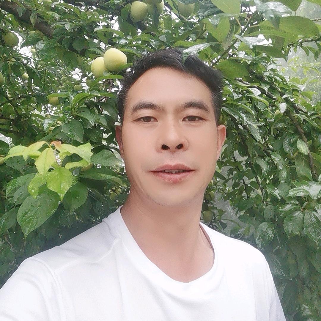 林森
