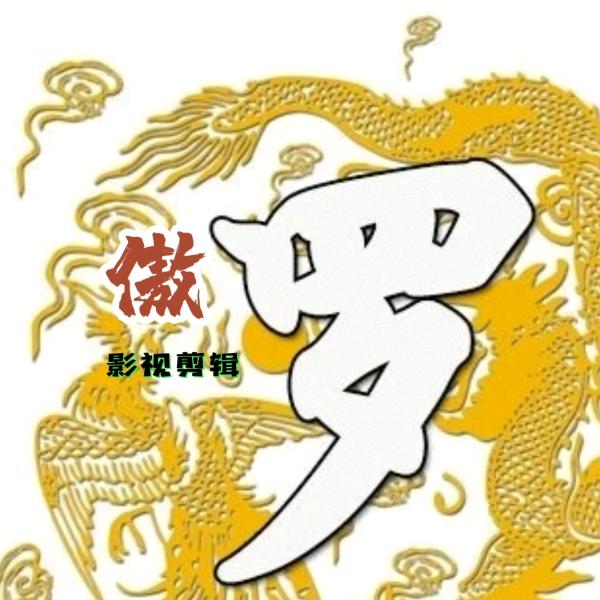 傲罗影视