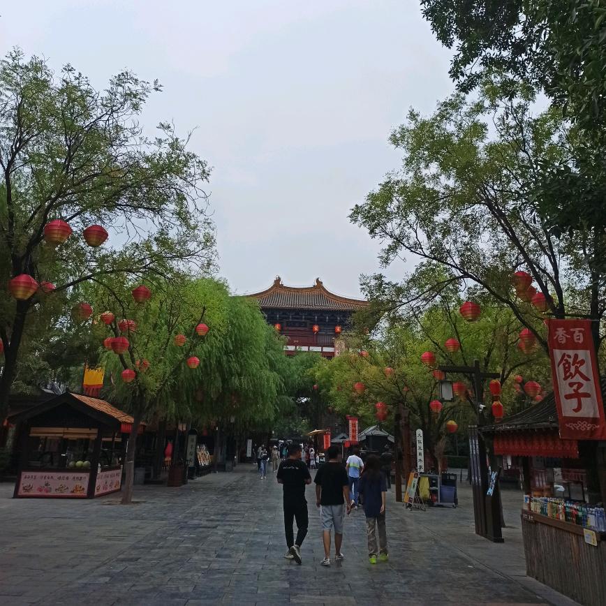 太阳66
