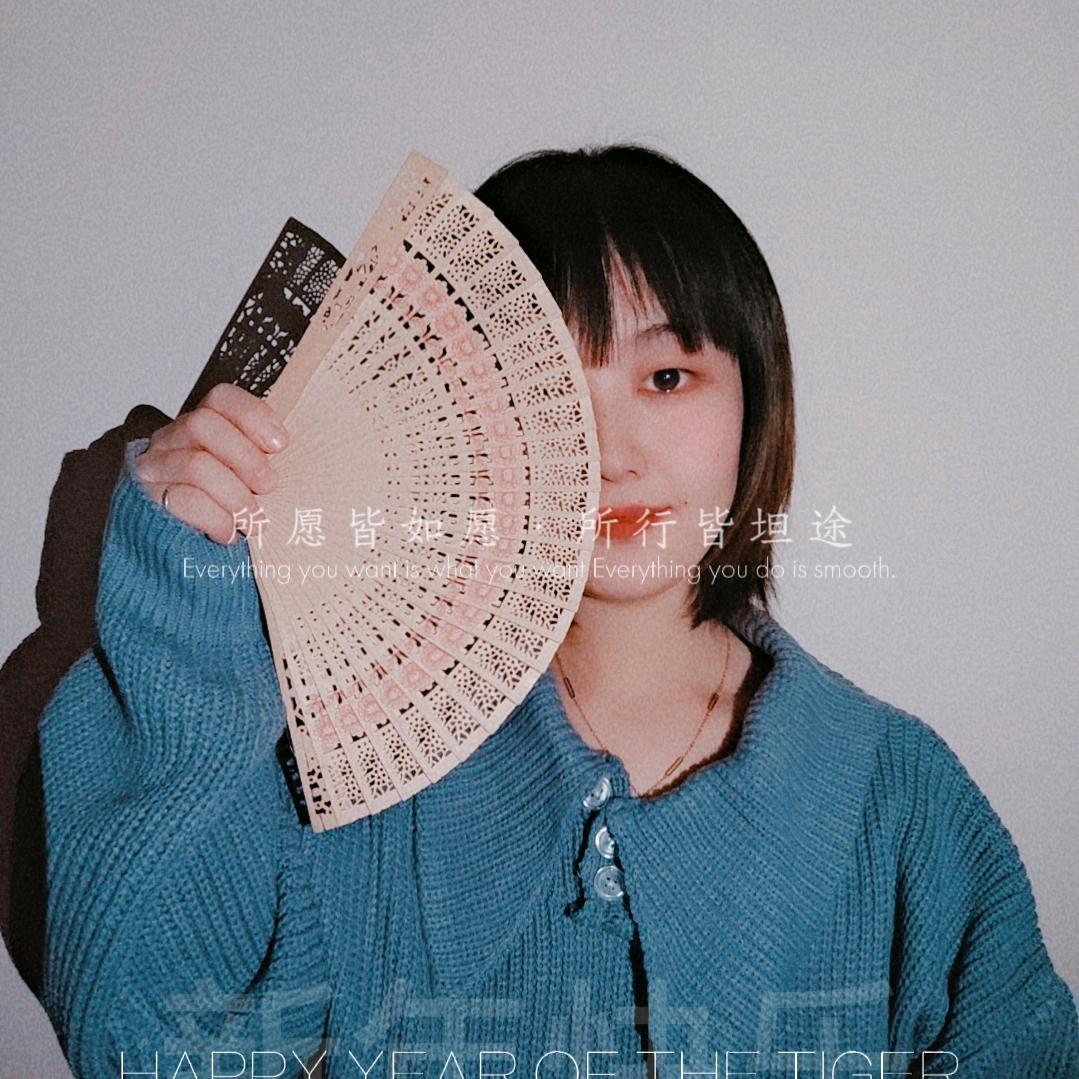 🐾归零