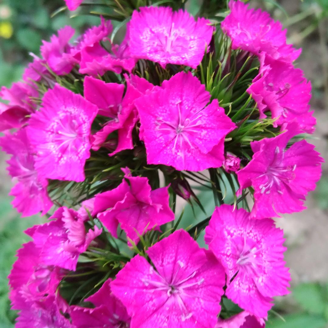 一生有你就足够