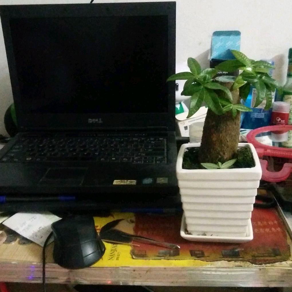 种养专业。